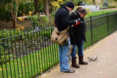 DSC_0607 (Large).JPG